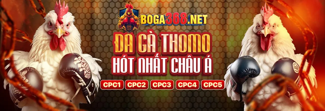 Giao diện cá cược trực tiếp với tỷ lệ cược của 1bet App